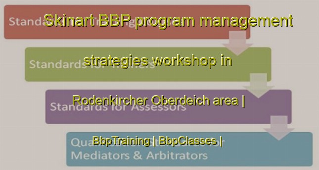 Skinart BBP program management strategies workshop in Rodenkircher Oberdeich area | BbpTraining | BbpClasses | SkinartTraining-Germany